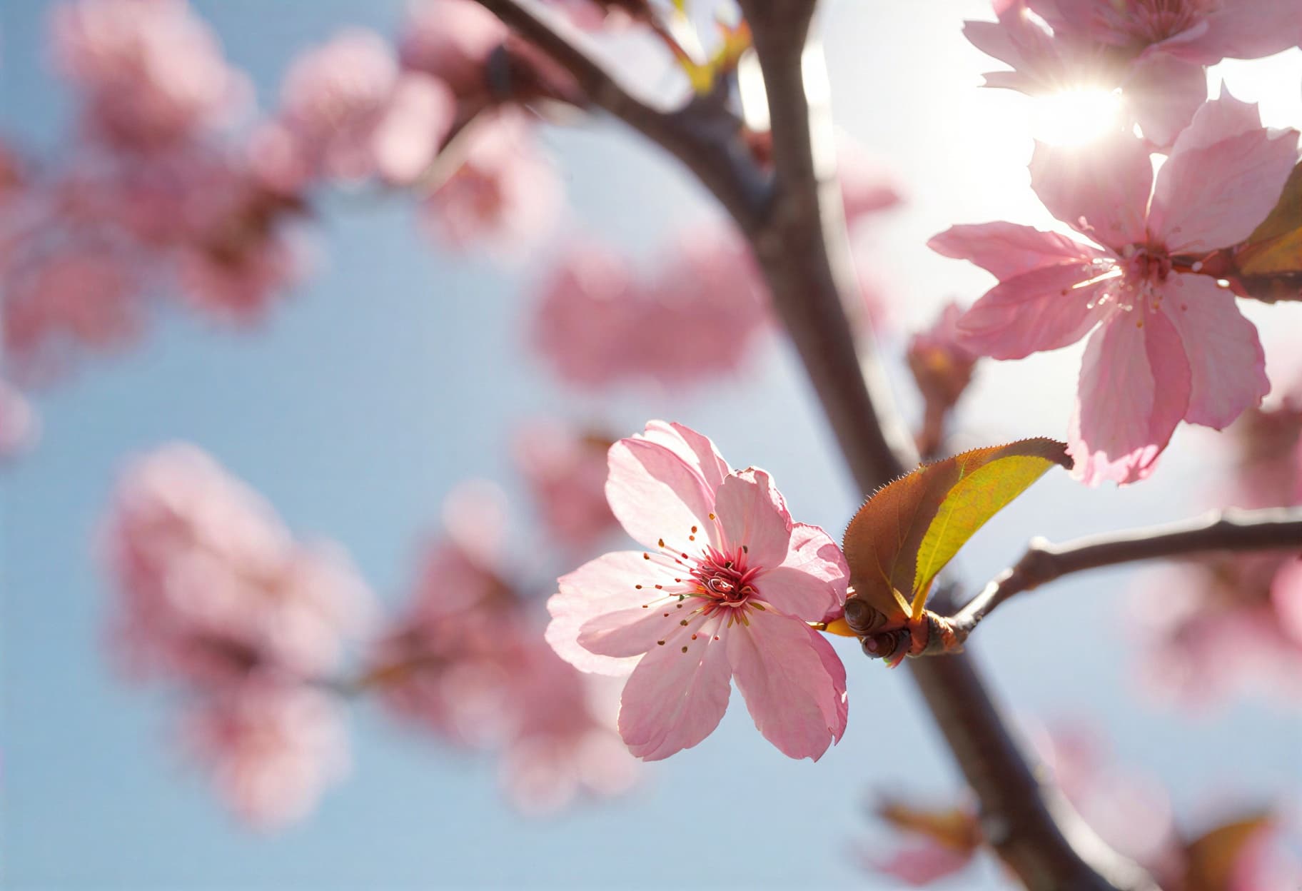 AI Wallpaper Prompt sample - screen-ready composition